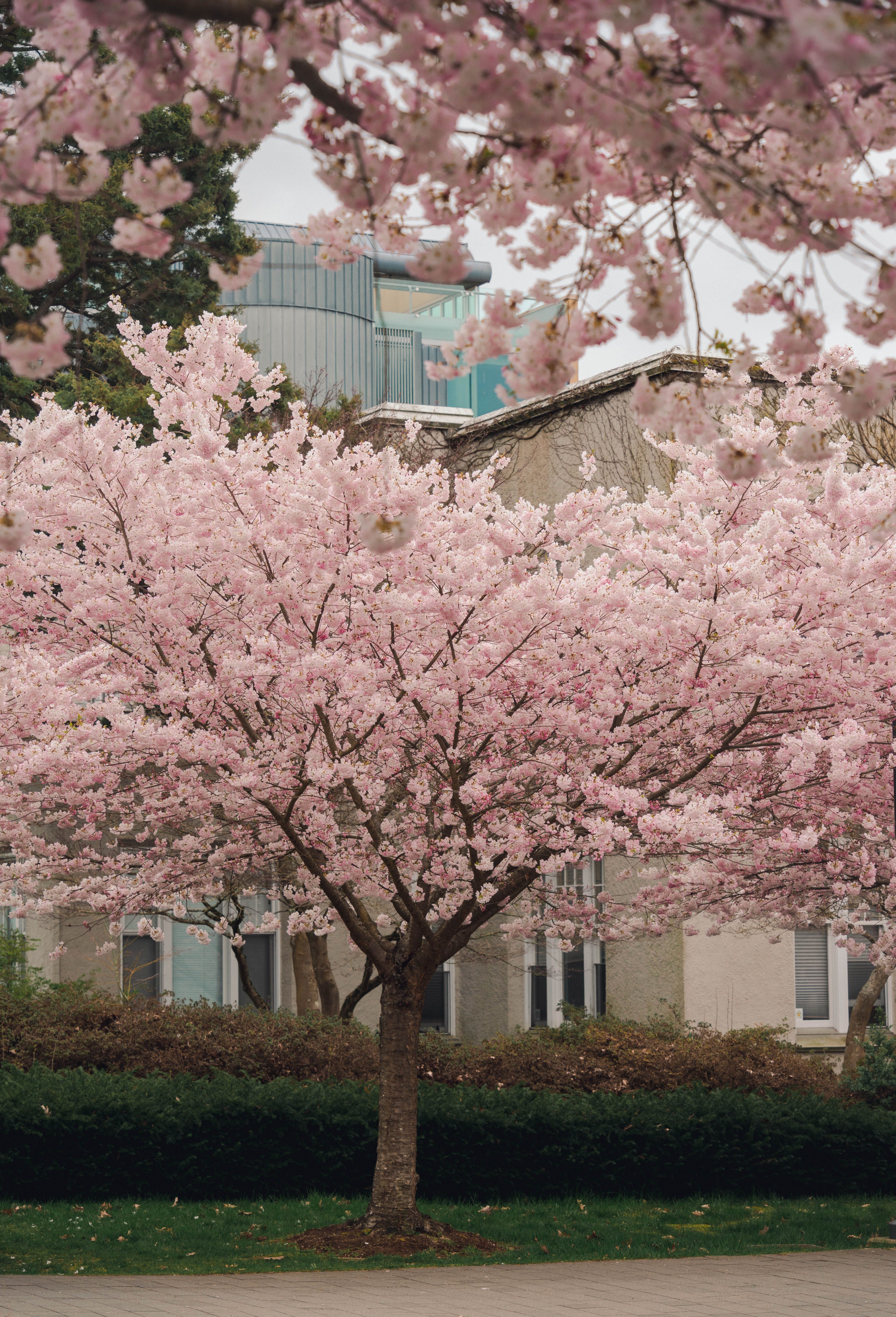 "is it worth doing mba in canada west university in singapore?"
