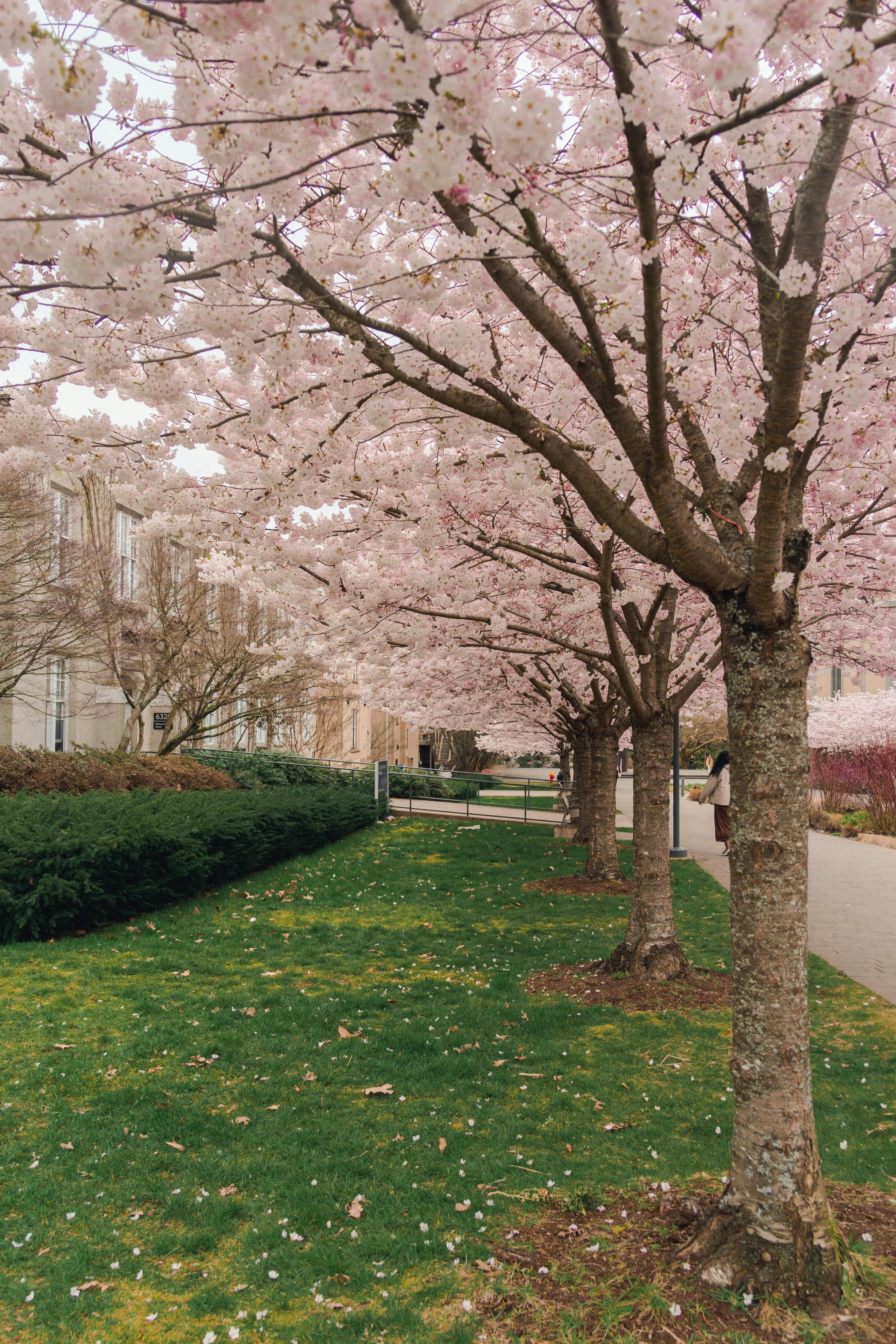 Trường University of Canada West 4 Trường University of Canada West