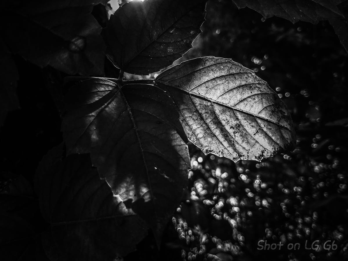 Doctor and patient sitting at a desk discussing medical treatment options
