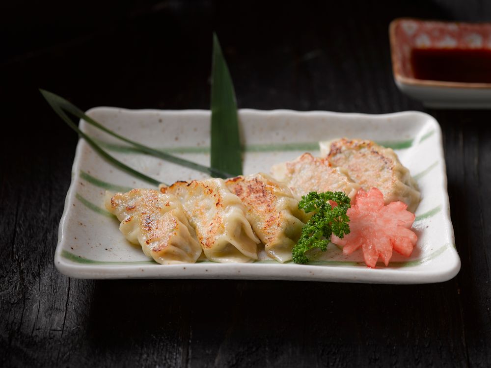Japanese gyoza dumplings Appetizing Japanese gyoza dumplings served with garnish on a ceramic plate