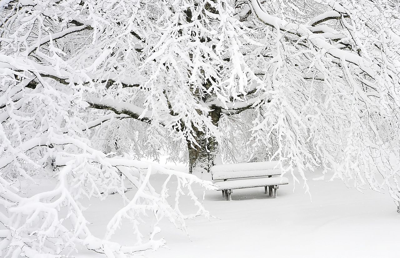 a peaceful snowy park scene with an empty bench surrounded by frosted