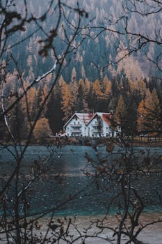 湖畔小屋宁静地坐落着，四周环绕着生机勃勃的秋日森林，映衬出一片宁静与美丽