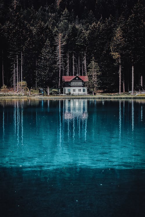 30000 Best Lake Photos · 100 Free Download · Pexels Stock Photos