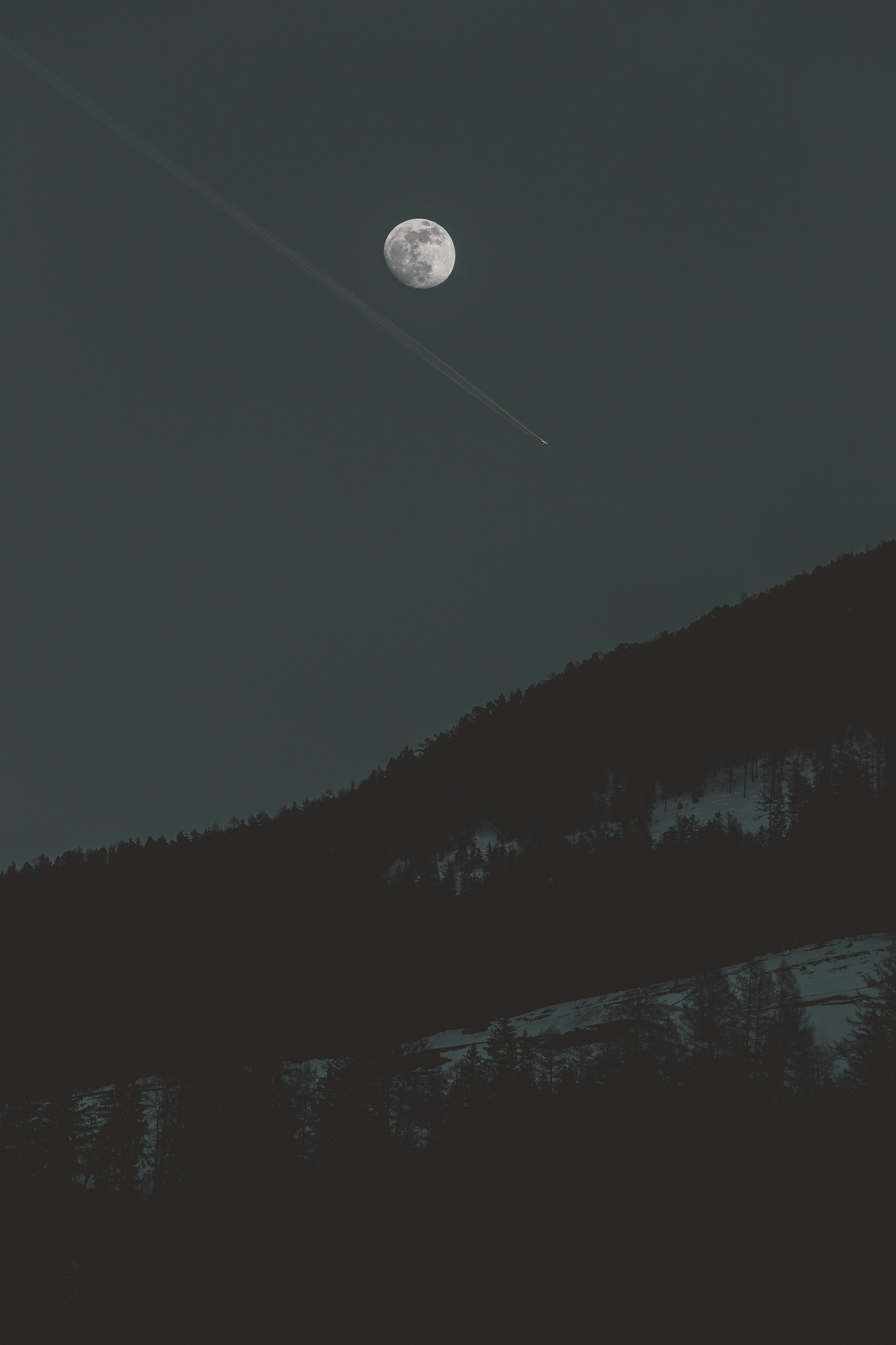 Download 8K iPhone Man Against A Moonlit Night Wallpaper