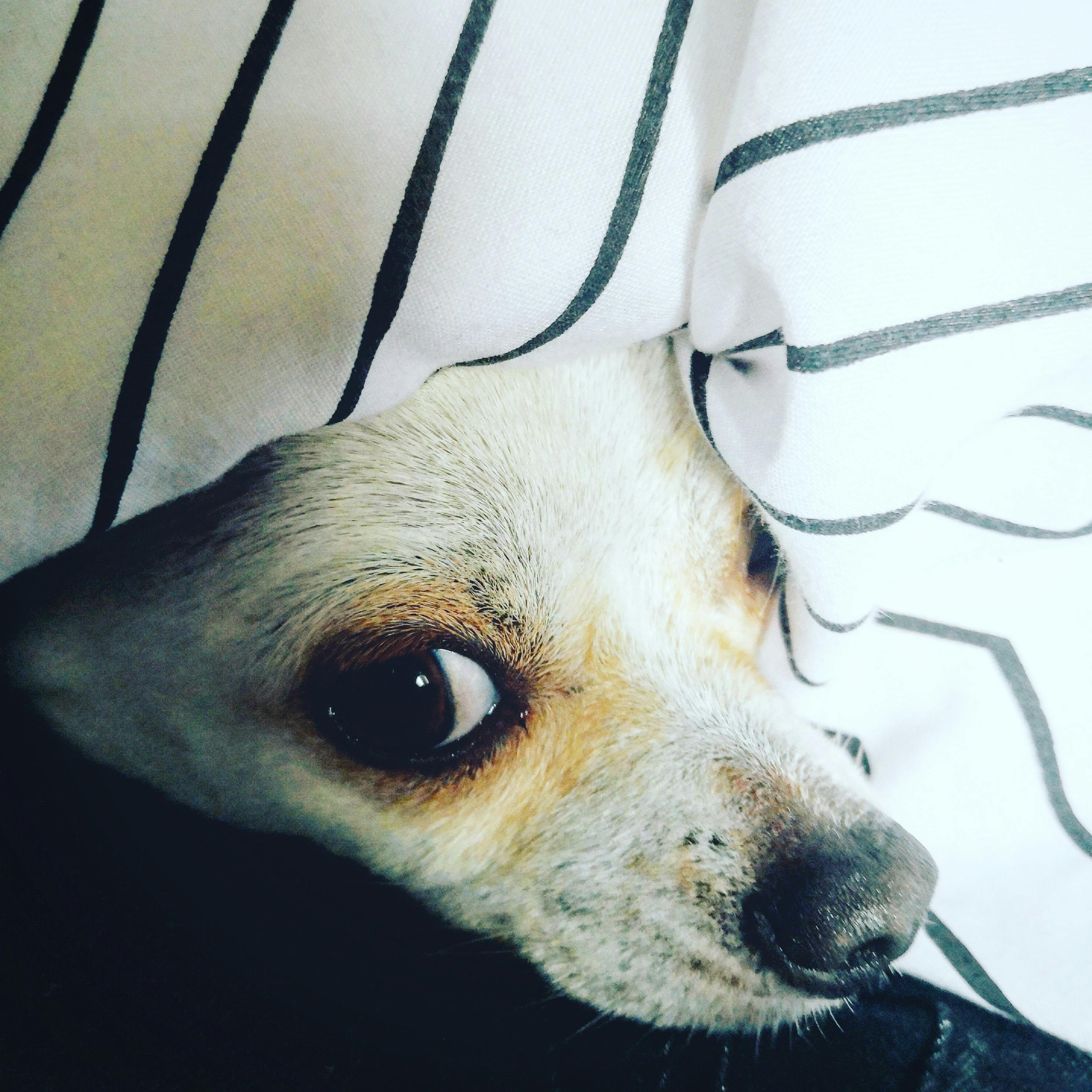 جولة في منطاد الهواء الساخن