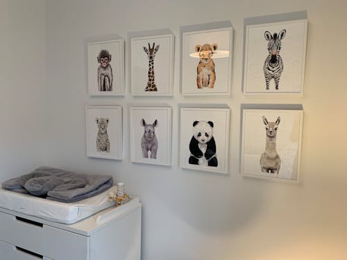 Different Kinds Of Animal Portraits On The Wall