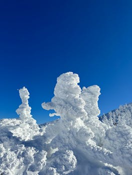 Stunning snow formations under a blue sky in Yamagata, Japan's winter wonderland.