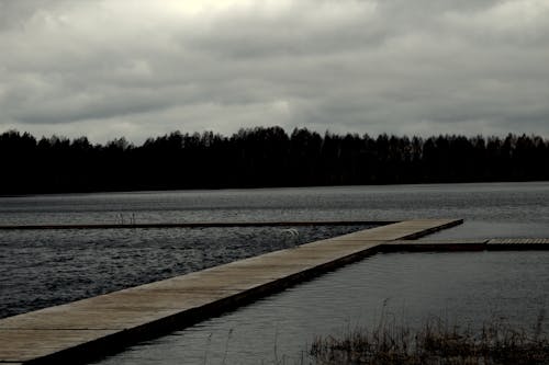 Бесплатное стоковое фото с дождевые облака, лес, мрачный