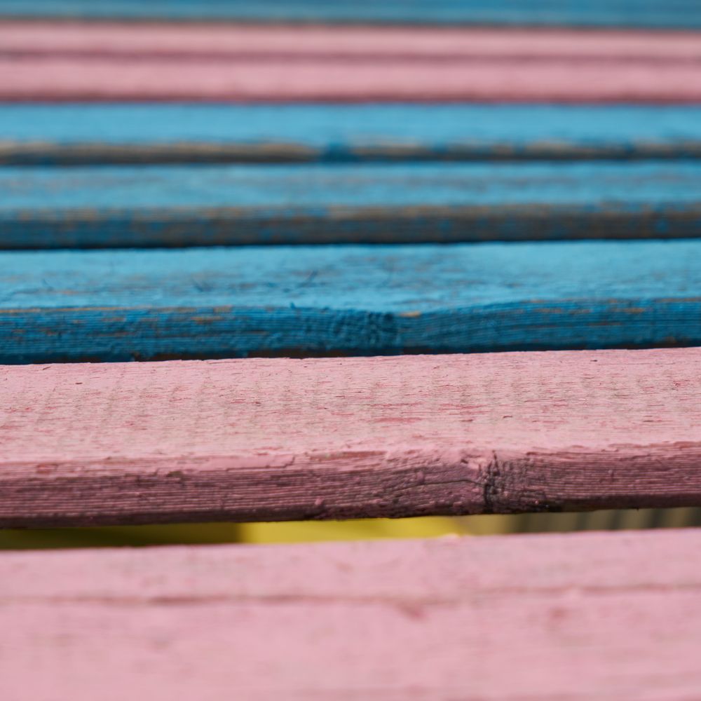 Fence and Decking Painting in Nunhead — careful masking before painting begins