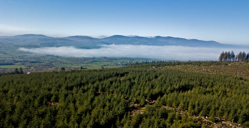 Free stock photo of early morning, foggy morning, ireland mountain top Stock Photo