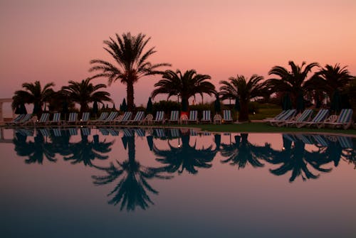 A pool with lounge chairs and palm trees at sunset