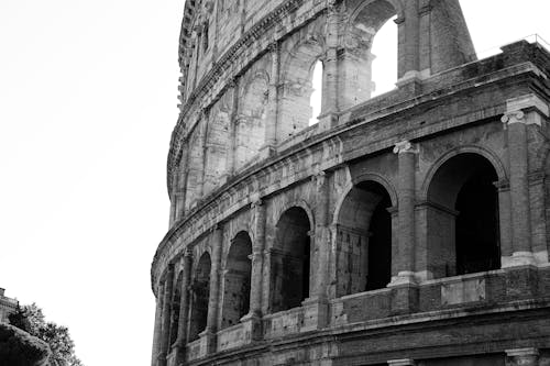Imagine de stoc gratuită din alb-negru, arheologie, Colosseum