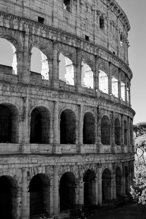 Free Iconic view of Rome's Colosseum in monochrome, showcasing its ancient architecture. Stock Photo