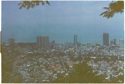 Free Scenic aerial view of city skyline with tall buildings along the coast, framed by foliage. Stock Photo