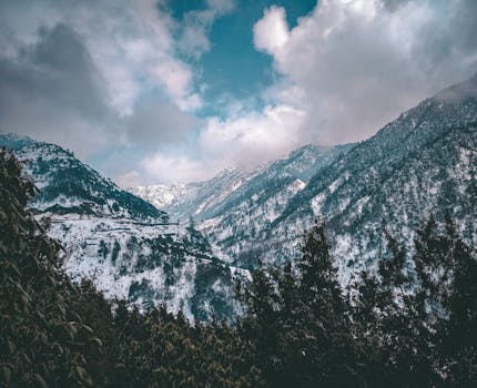 Scenic view of snow-capped mountains with winter forest under a cloudy sky.