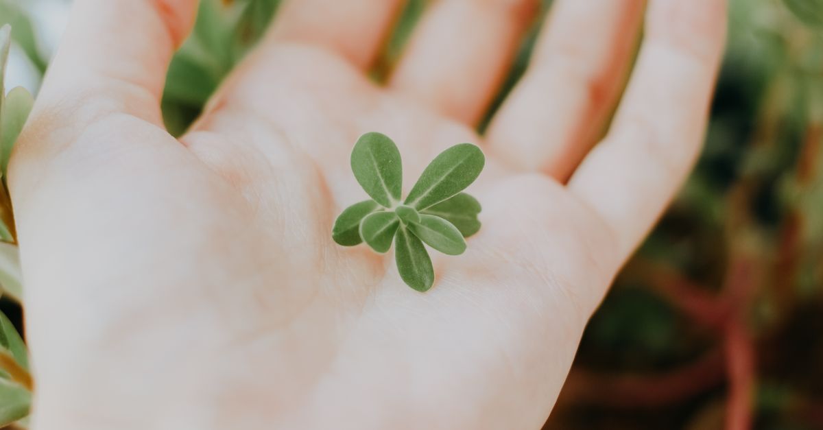 10 Tiny Habits That Will Quietly Transform Your Life by 2025