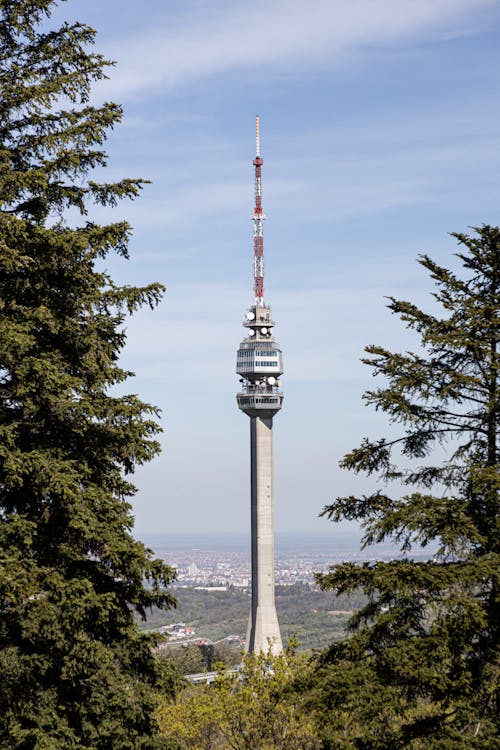 Ilmainen kuvapankkikuva tunnisteilla avala torni, belgrad, puut