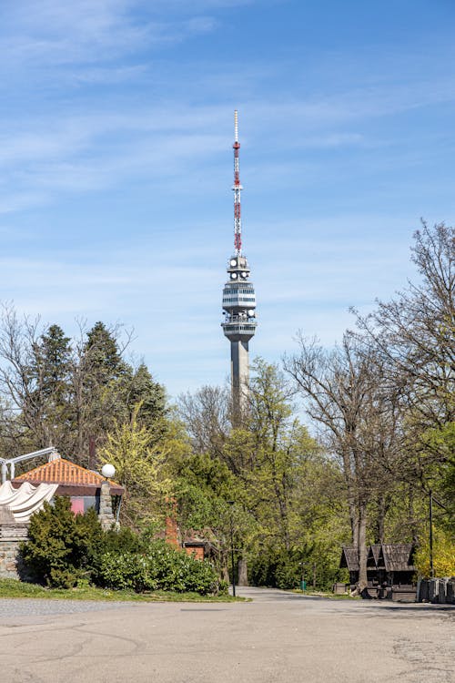 Ingyenes stockfotó avala torony, belgrád, fák témában