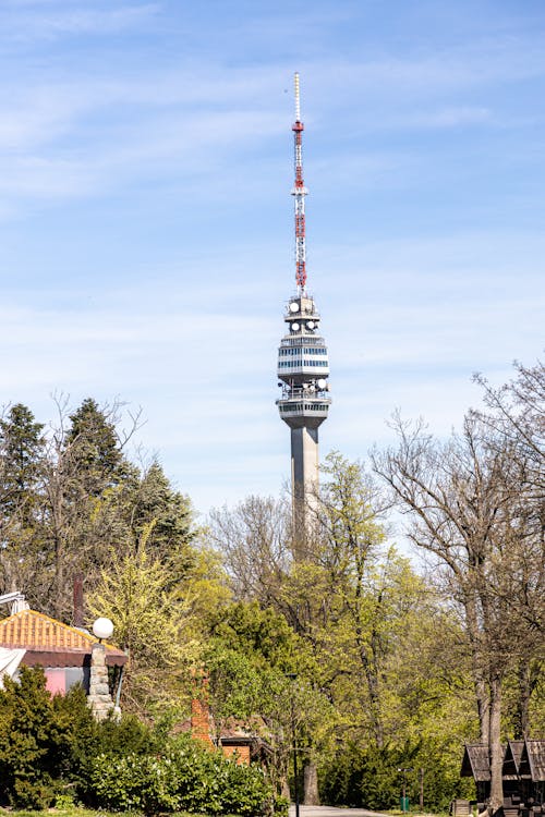 Ingyenes stockfotó avala torony, belgrád, épület témában