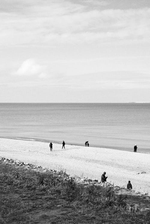 Бесплатное стоковое фото с baltic sea, Black, photograph