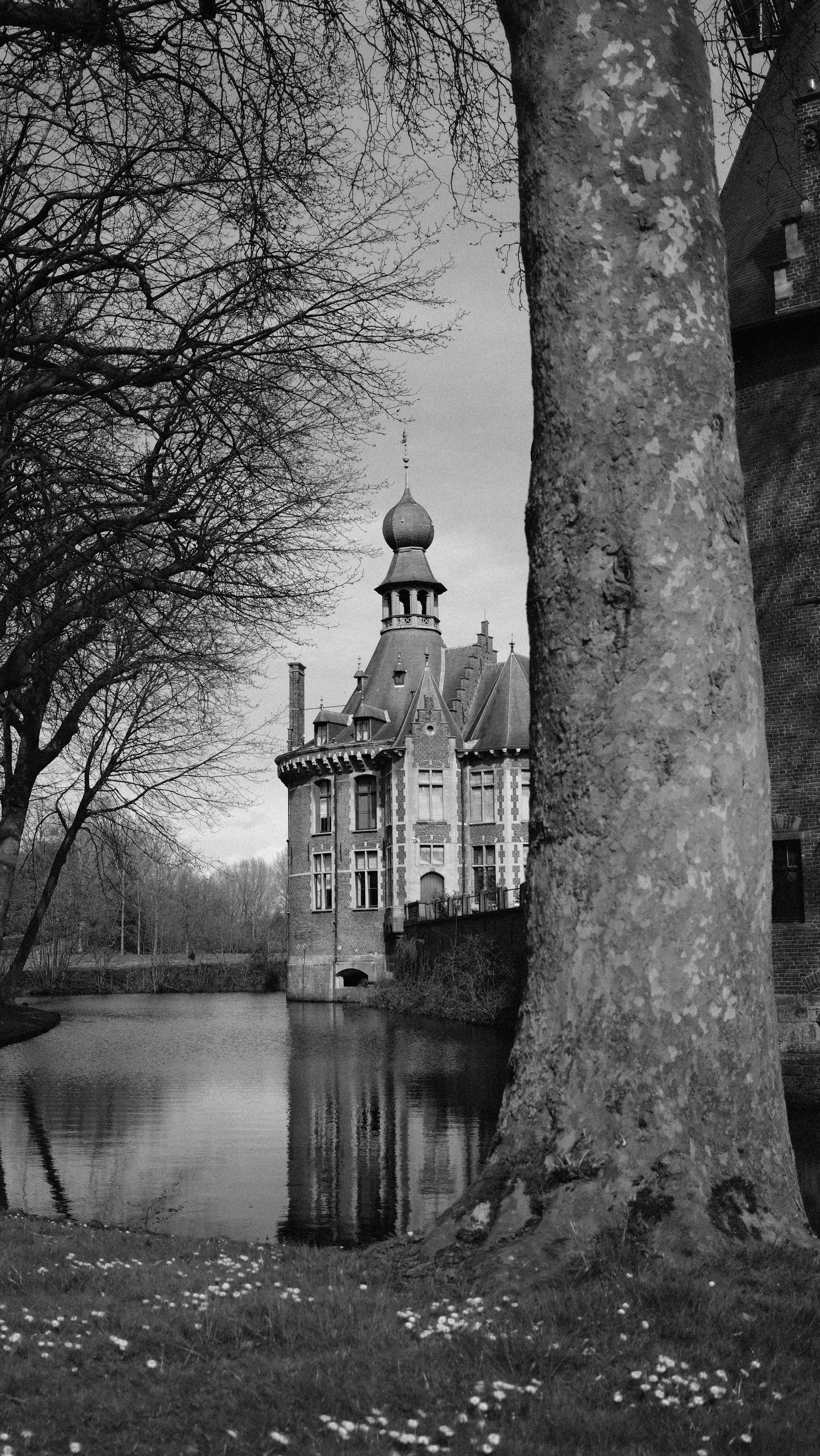 Black and white photo capturing the historic Ooidonk Castle in Ghent, Belgium, with tree and reflection.
