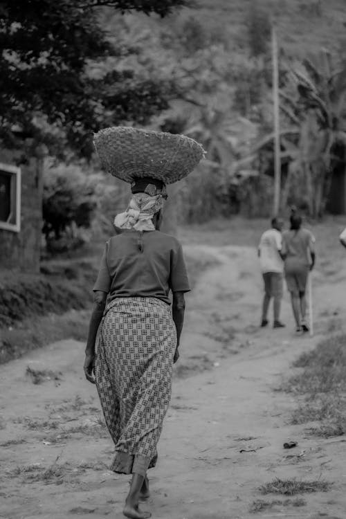 Fotos de stock gratuitas de adulto, África, africano