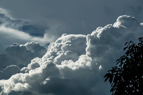 Δωρεάν στοκ φωτογραφιών με δέντρα, ουρανός, σύννεφα