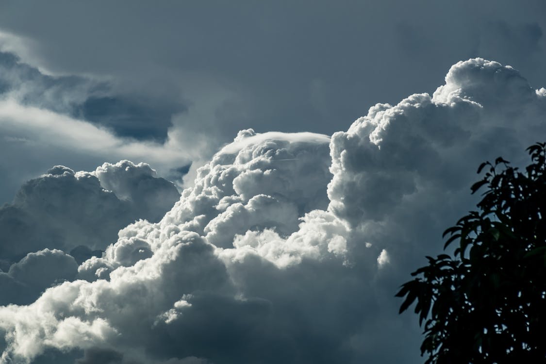 Gratis Cielo Nuvoloso Bianco E Blu E Silhouette Di Foglie Di Albero Foto a disposizione