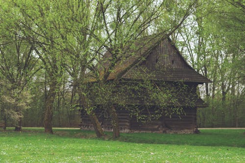 Fotobanka s bezplatnými fotkami na tému budova, dedinský, drevený