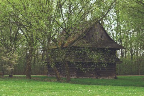 Free A rustic wooden house surrounded by lush green trees and grass, evoking a serene countryside vibe. Stock Photo