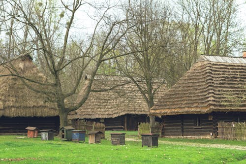 A group of thatched huts in a field