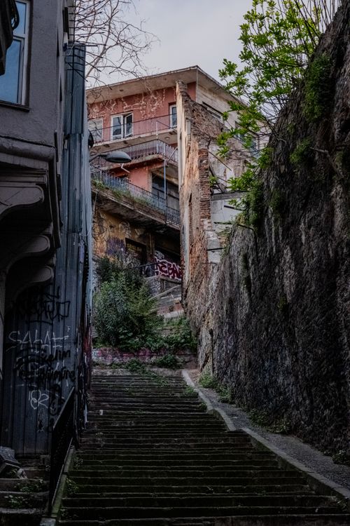Free An urban alley featuring an abandoned building with graffiti and overgrown greenery. Stock Photo