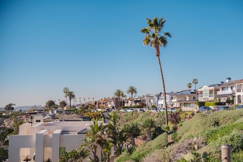 Free Beautiful view of luxury coastal homes and palm trees in Newport Beach, CA, under a clear blue sky. Stock Photo