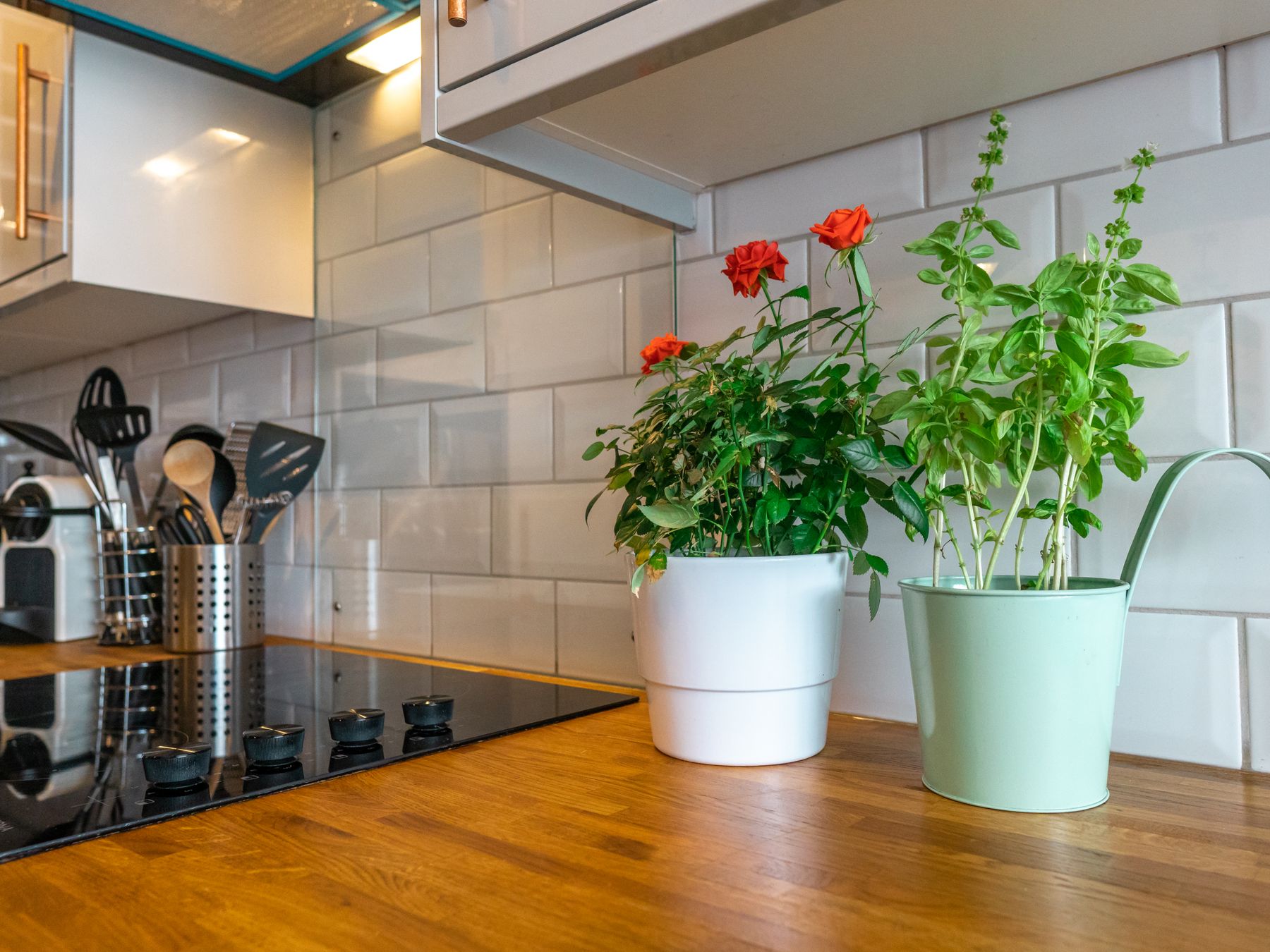 Kitchen Spraying in Penge — clean edges cut in around trim and sockets