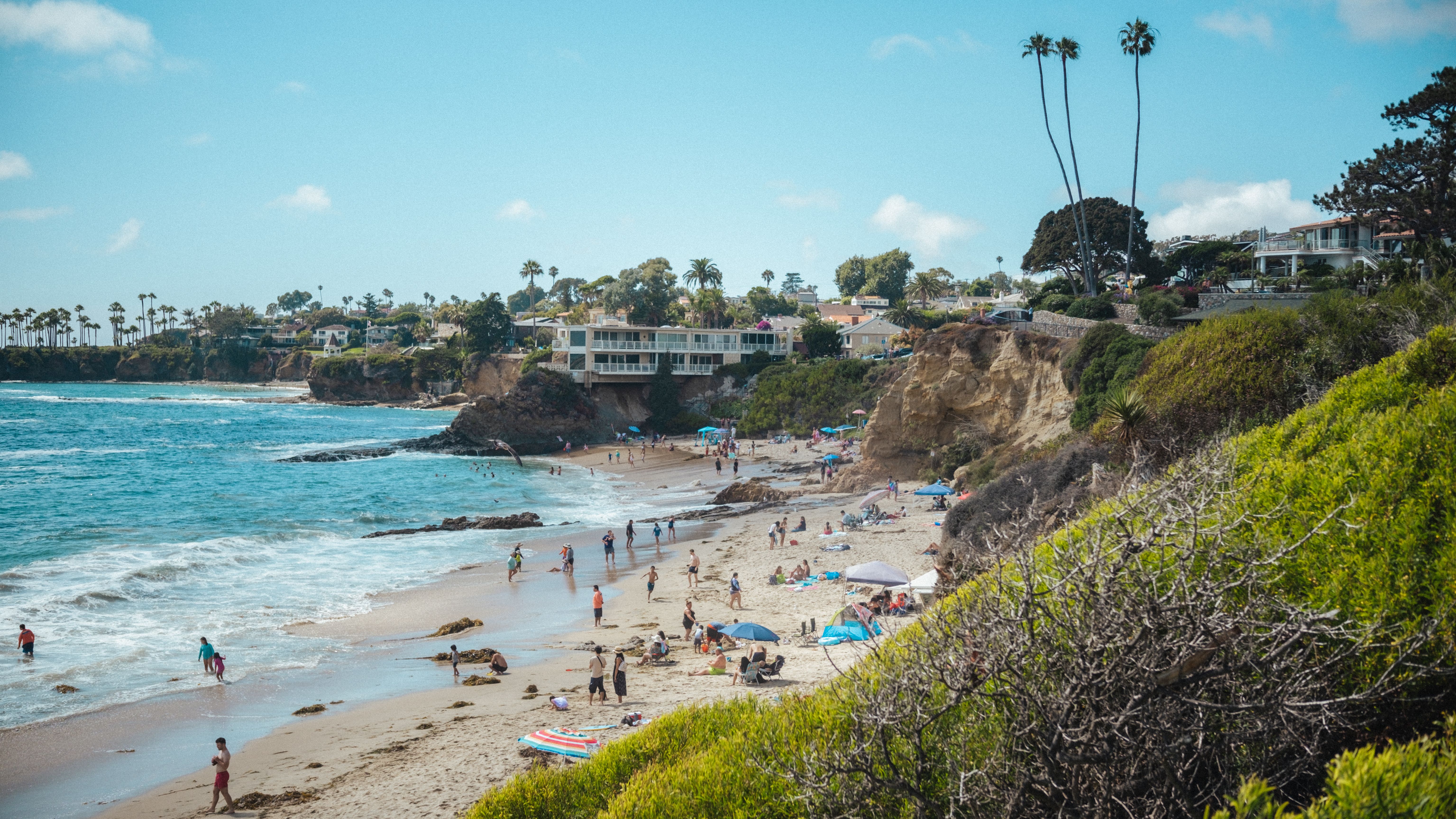 Beachgoers enjoy a sunny day by the ocean with coastal views, rocky cliffs, and palm trees.