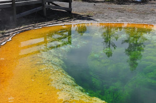 Kostenloses Stock Foto zu außerorts, bäume, geysir