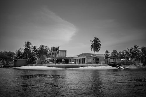 岸邊, 房子, 棕櫚樹 的 免費圖庫相片