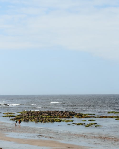 คลังภาพถ่ายฟรี ของ ขอบฟ้า, ชายหาด, ท้องฟ้า