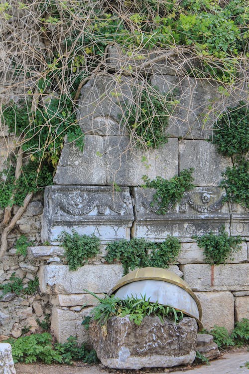 Darmowe zdjęcie z galerii z kamienie, liście, mur