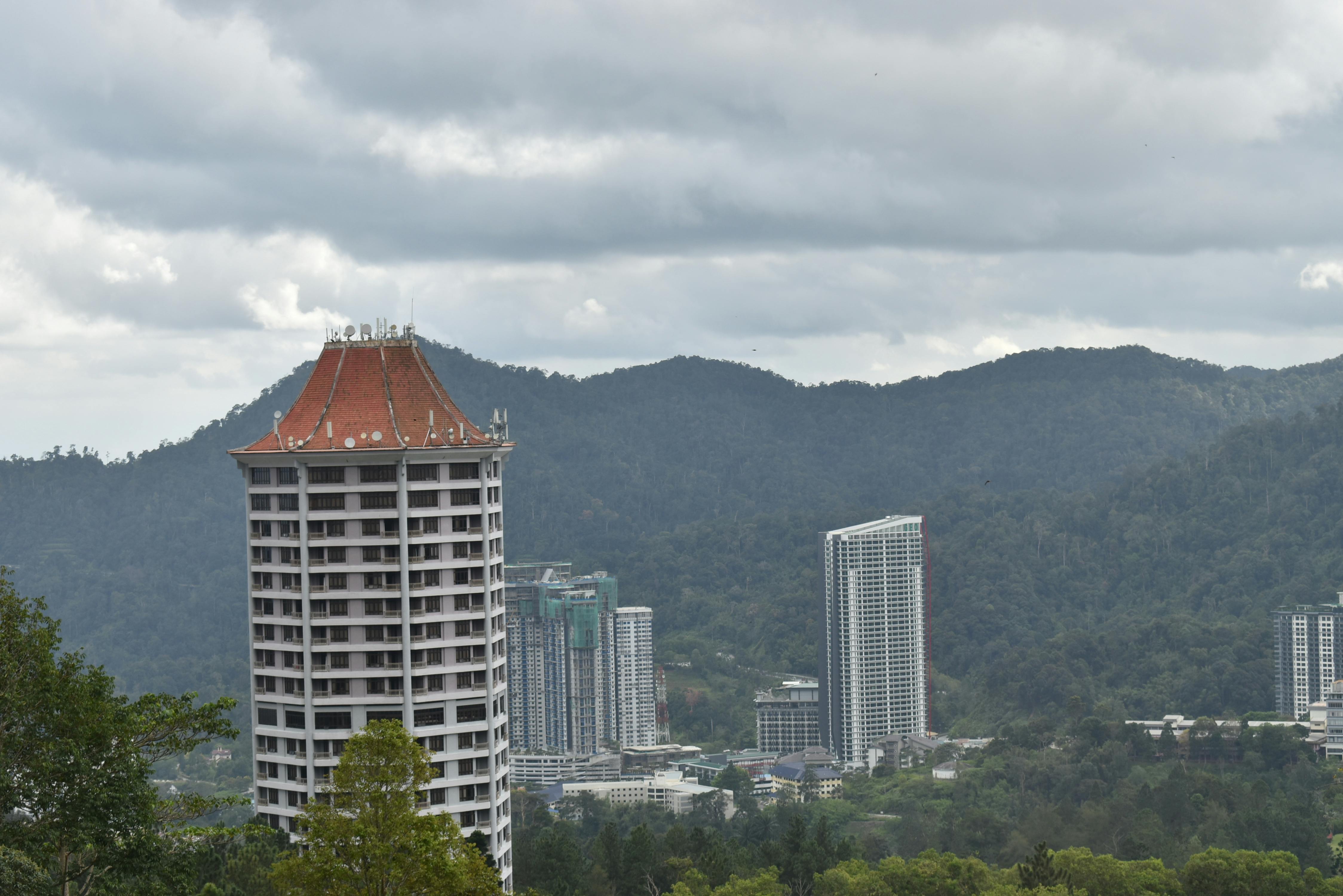 Pets in Cool Environment