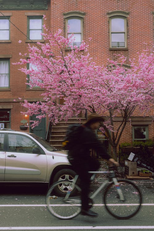 Základová fotografie zdarma na téma jaro, jízda na kole, jízdní kolo