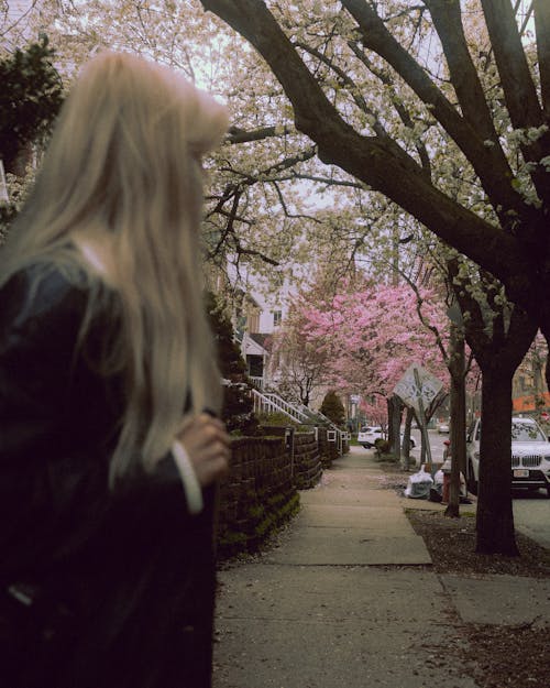 Gratis stockfoto met blond haar, lente, mevrouw