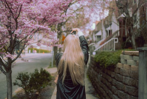 Gratis lagerfoto af blond hår, byens gader, fjeder