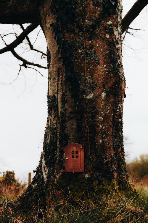 Free A charming miniature door fixed on a tree trunk, capturing the essence of autumn. Stock Photo