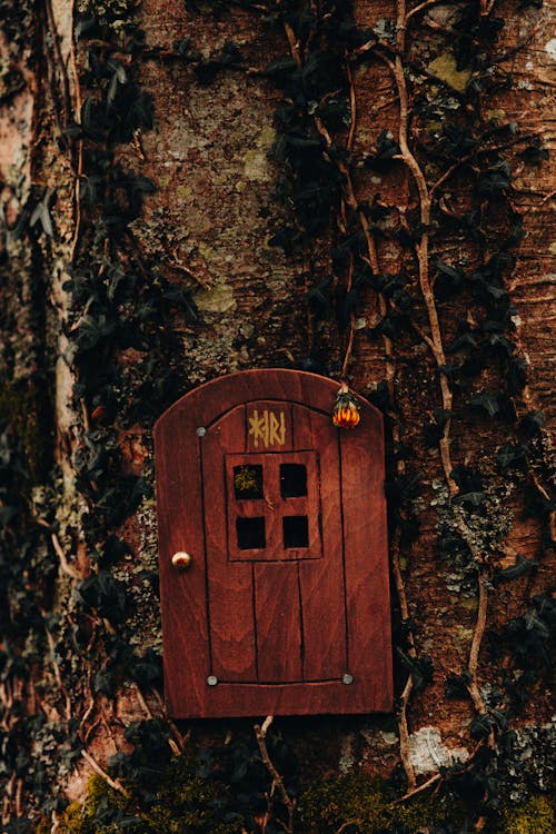 A small red door is attached to a tree