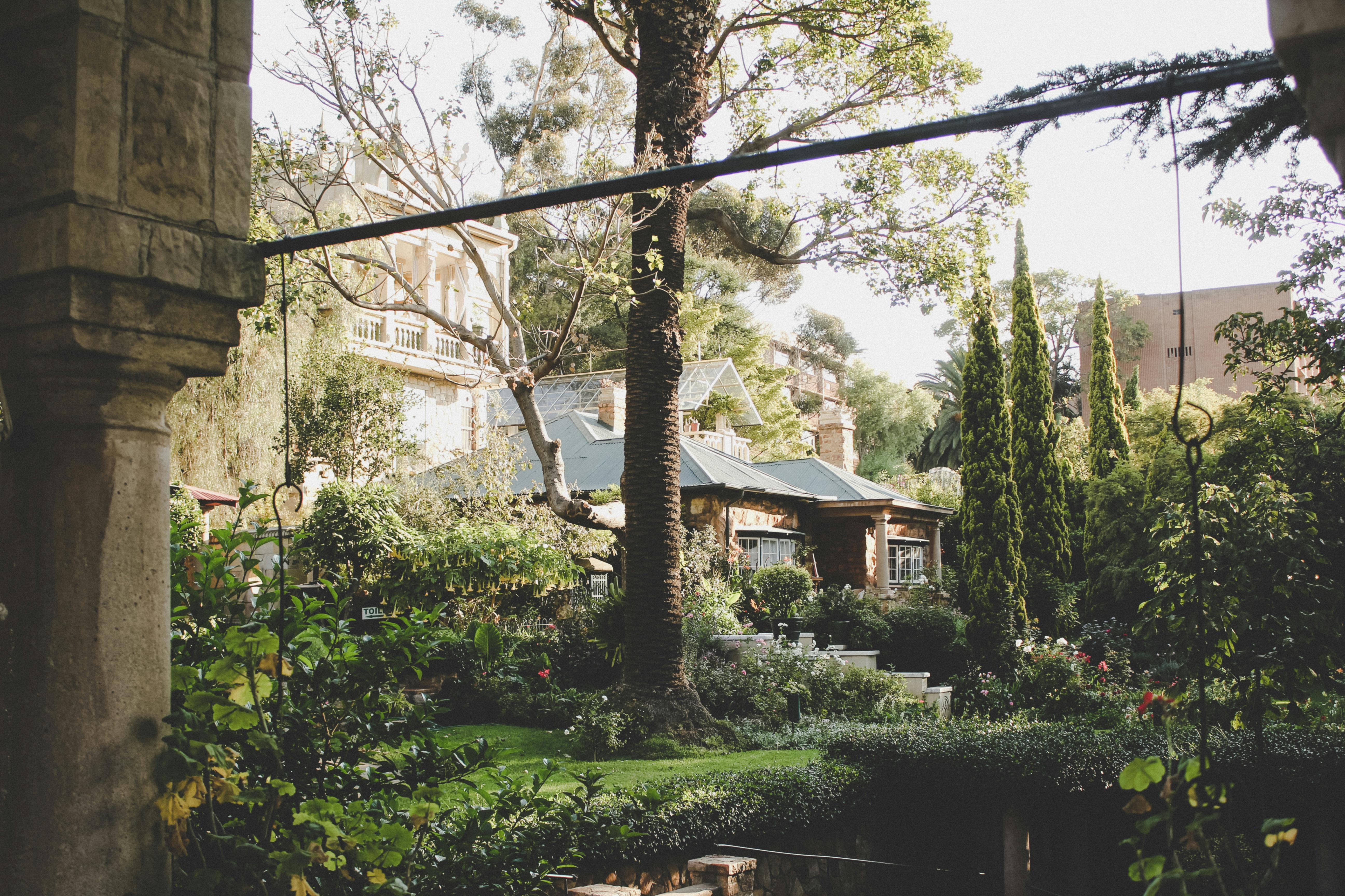 Picturesque stone cottage nestled among vibrant greenery and towering trees in a serene garden setting.