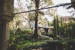 The Tiger View Resort