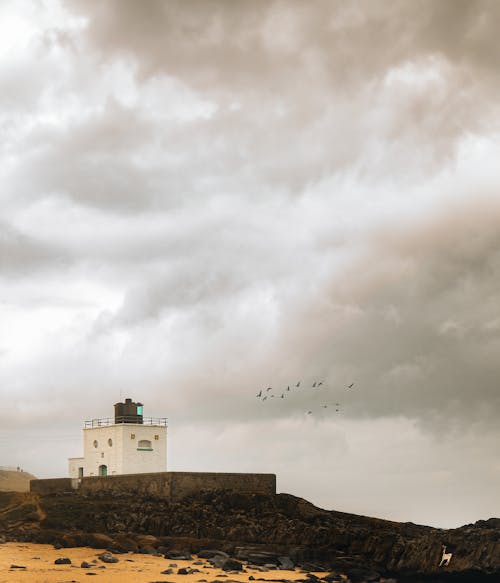 A lighthouse is on a rocky beach with birds flying overhead