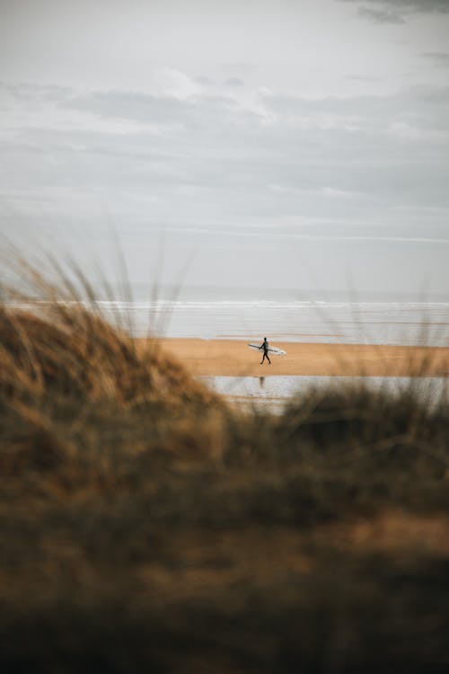 Fotobanka s bezplatnými fotkami na tému chôdza, more, pláž