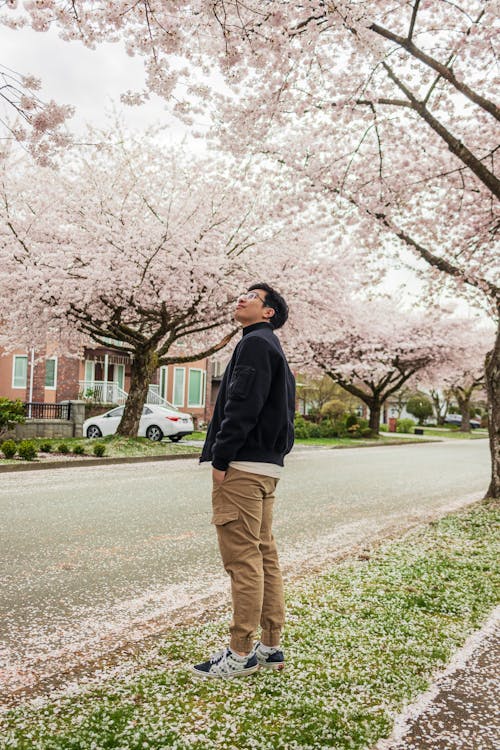 A man standing in the middle of a street with cherry blossoms